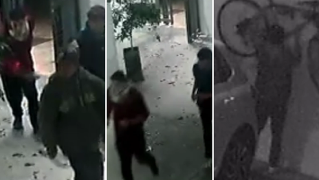 Tres ladrones entraron a un edificio de La Plata y robaron la bicicleta de un médico