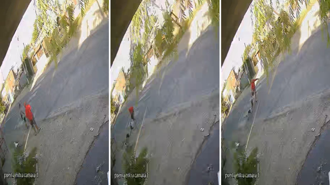 un ladron intento asaltar a una mujer, la arrastro por la calle y huyo con la manos vacias