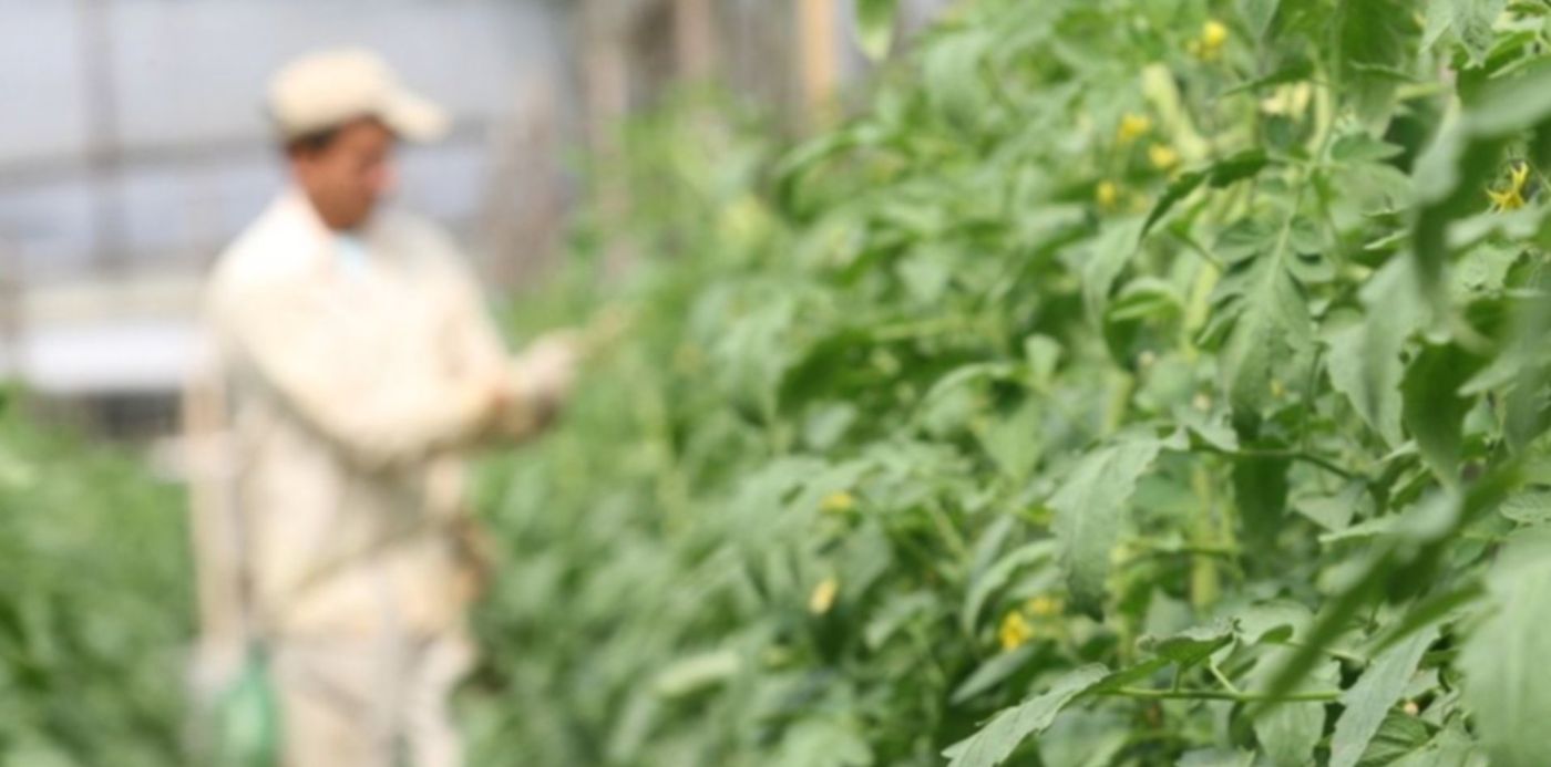 1635972717786.jpg?x=6&y=2&width=948&height=474&rotate=0&scaleX=1&scaleY=1&ow=960&oh=640&&cw=1920&ch=950