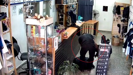 Un penitenciario de La Plata quedó filmado mientras robaba prendas en un local de ropa Un penitenciario de La Plata quedó filmado mientras robaba prendas en un local de ropa