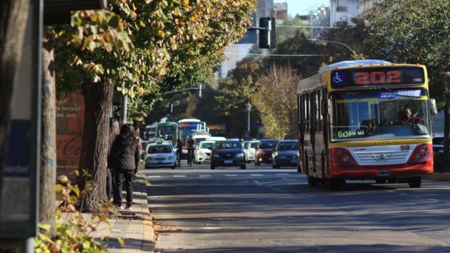 una abuela de 78 anos fue atropellada por un micro en berisso