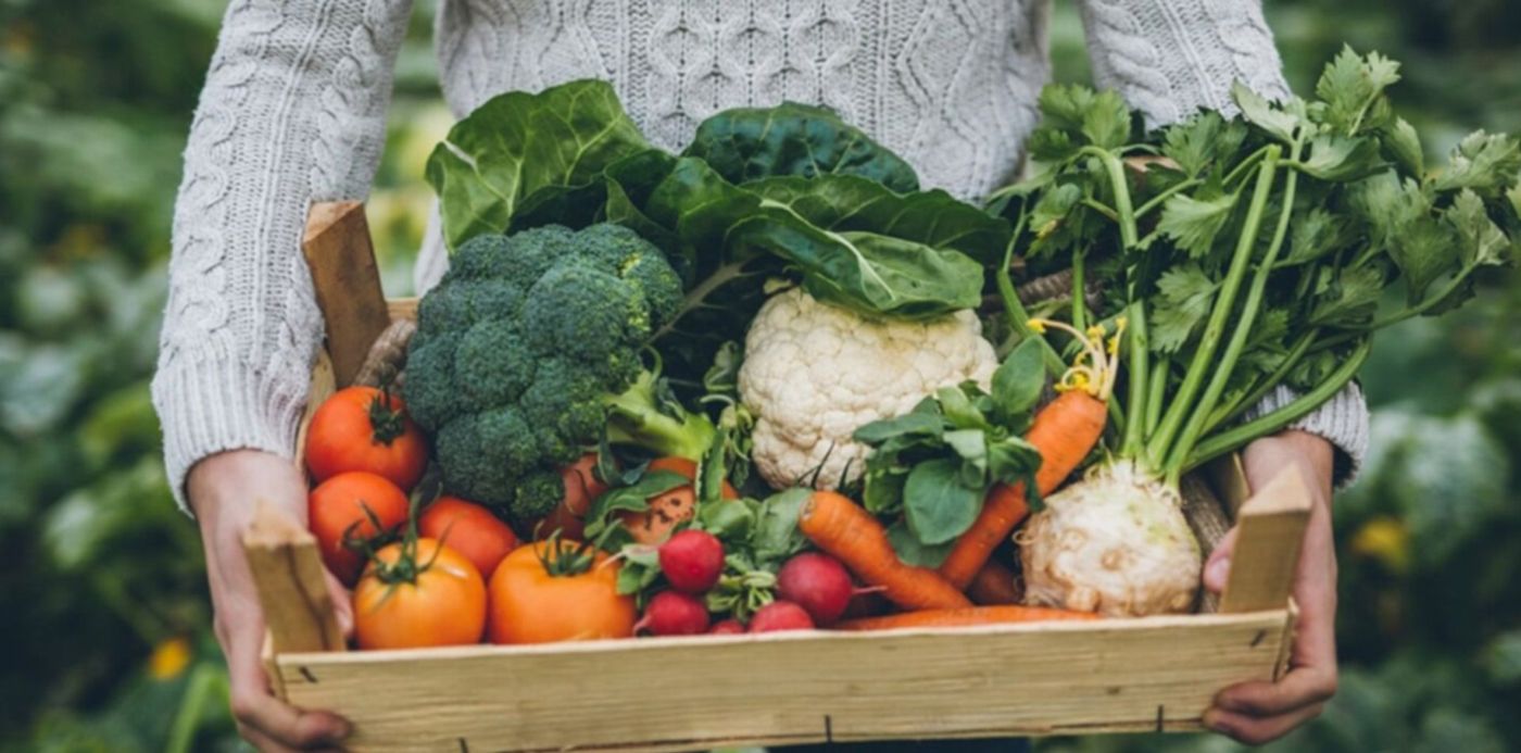 1688990517625.jpg?x=8&y=55&width=1408&height=704&rotate=0&scaleX=1&scaleY=1&ow=1440&oh=810&&cw=1920&ch=950