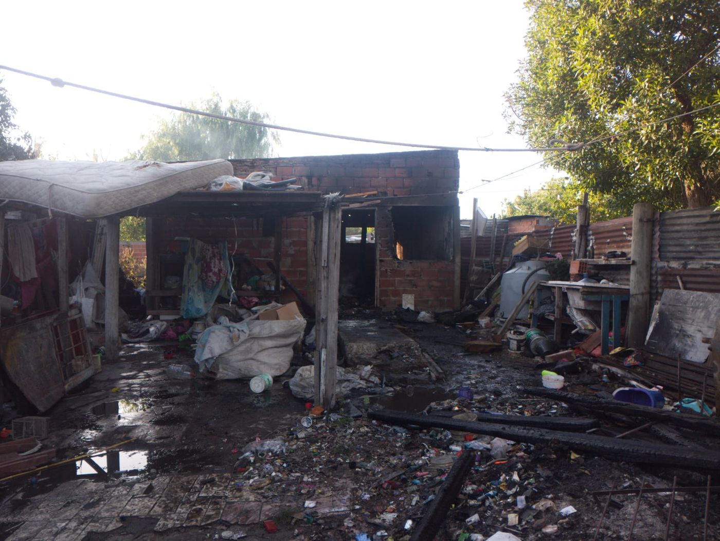 WhatsApp Image 2024-03-05 at 15.33.42.jpeg