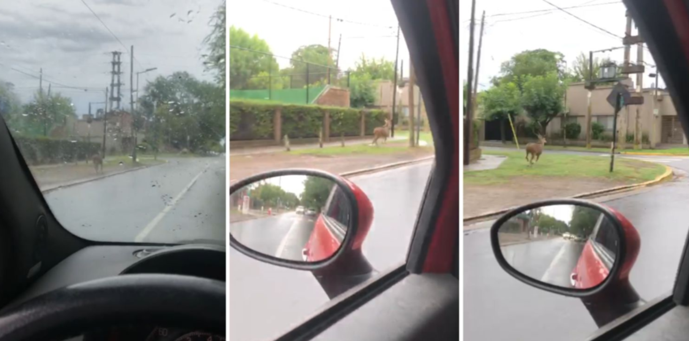 1671107221144.jpg?x=8&y=0&width=1484&height=742&rotate=0&scaleX=1&scaleY=1&ow=1500&oh=742&&cw=1920&ch=950