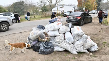 Impulsan en La Plata juicios vecinales para definir la culpabilidad en contravenciones graves