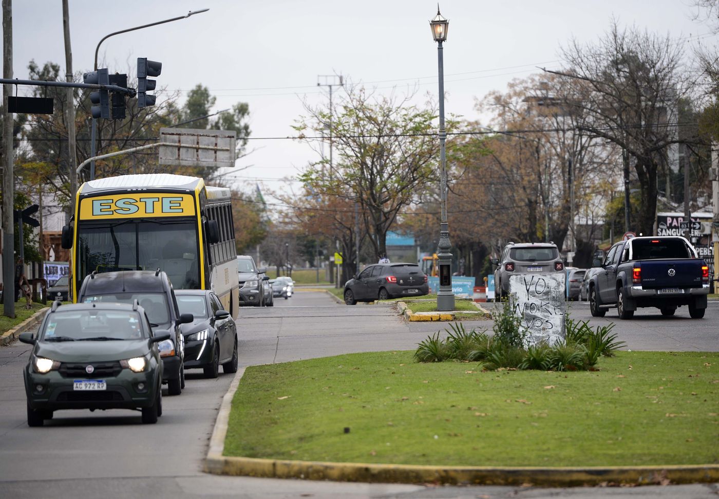 Diagonal 74 obras arbolado
