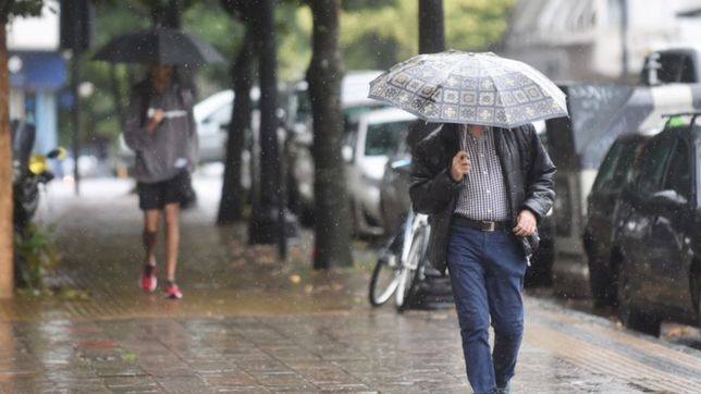 lloviznas, viento y heladas: asi estara el clima durante la semana en la plata
