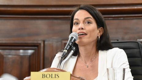Josefina Bolis cruzó al PRO por el plan antifisuras y rechazó que el peronismo defienda delincuentes