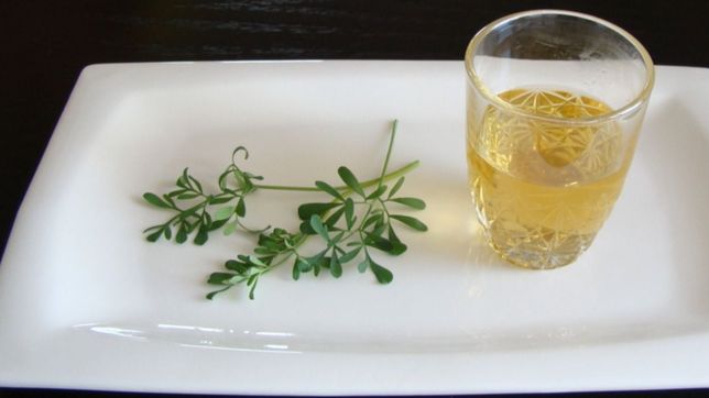 ¿por que se toma cana con ruda este 1° de agosto?