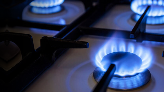 asciende a 169 la cantidad de personas que se intoxicaron con monoxido de carbono en lo que va de 2024