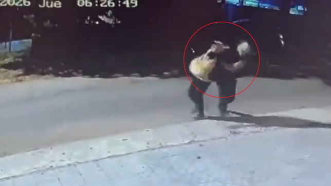 dramatico robo a un nene de 12 anos en tolosa mientras iba caminando a una escuela