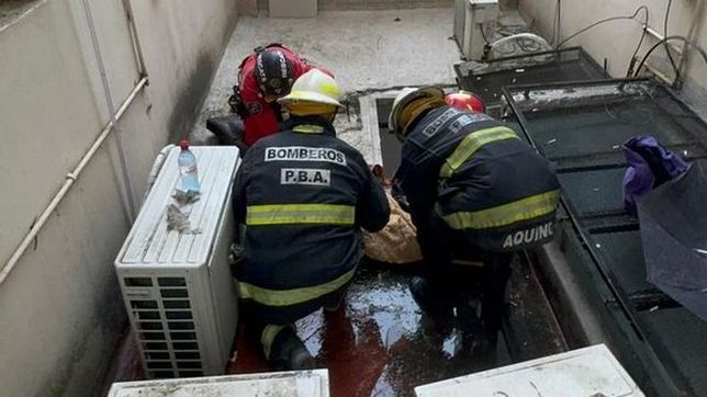 un electricista cayo de un edificio en pleno centro de la plata y tuvo que ser internado de urgencia