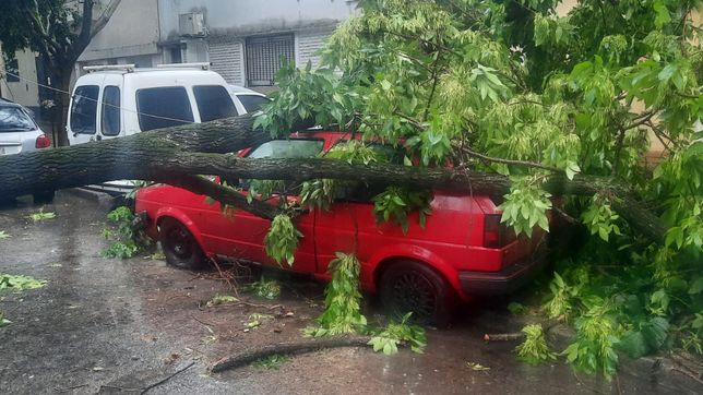 las imagenes de lo que dejo el temporal en la plata