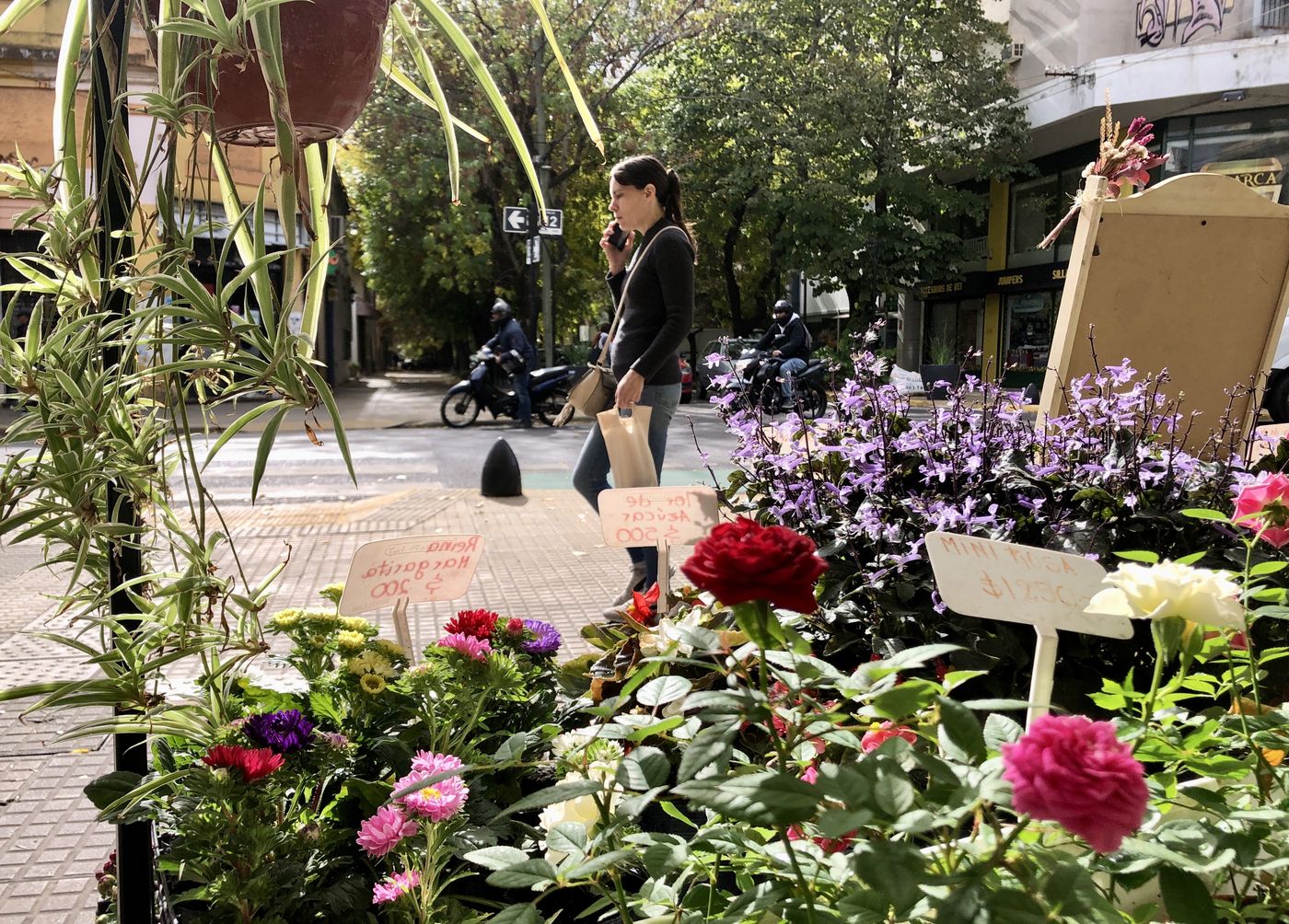 Puesto de flores (2).jpg