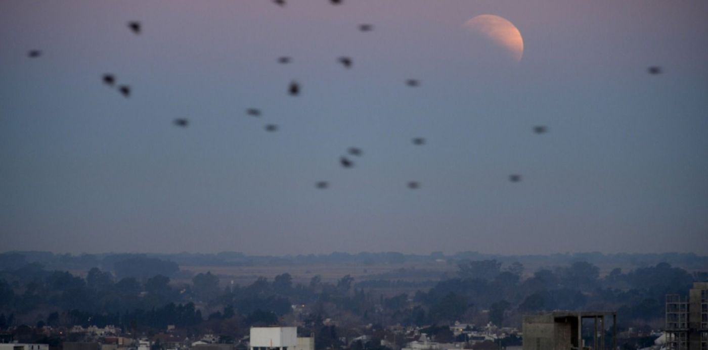 luna eclipse