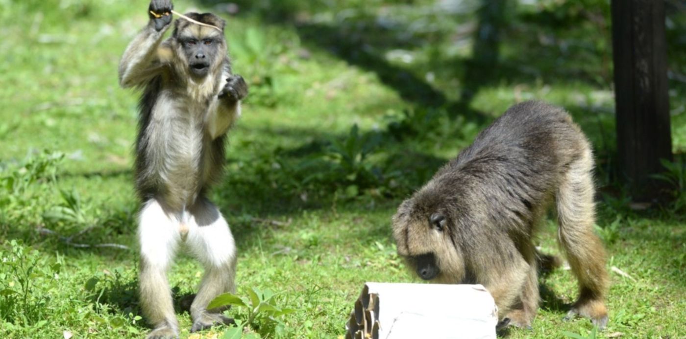 1640619166485.jpg?x=10&y=109&width=1487&height=743&rotate=0&scaleX=1&scaleY=1&ow=1500&oh=1023&&cw=1920&ch=950