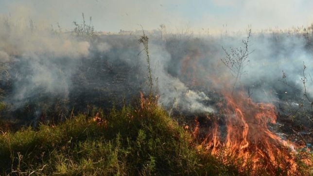 susto por un incendio en un campo de gorina que debieron controlar los bomberos