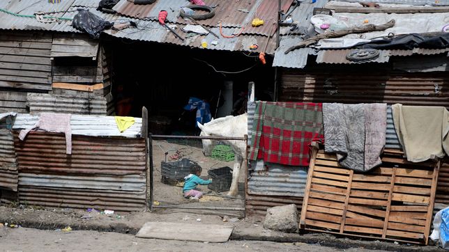 ¿a que zona seran trasladadas las familias que viven junto a las vias del bosque?