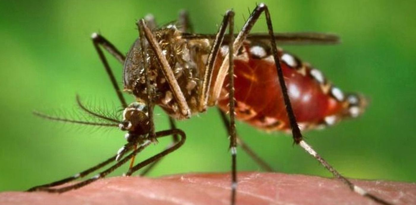 1614382122460.jpg?x=6&y=101&width=878&height=439&rotate=0&scaleX=1&scaleY=1&ow=890&oh=593&&cw=1920&ch=950