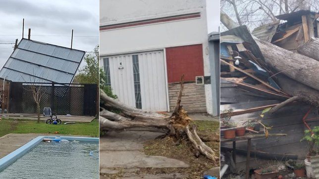 el viento hizo estragos en la plata y varios barrios se vieron afectados