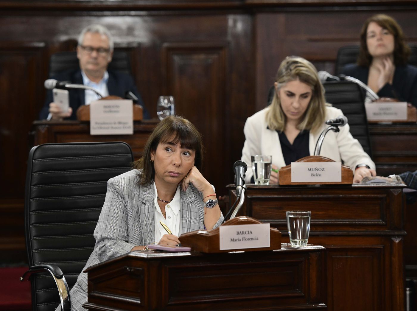 Sesión del concejo deliberante_0015.JPG