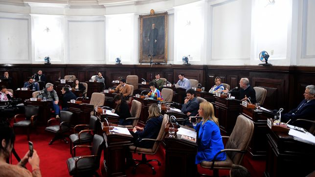 polemica en el concejo por el proyecto para eliminar los intermediarios en los planes sociales