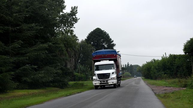 ¿cuales son los barrios de la plata que buscan unir con la nueva red de caminos rurales?