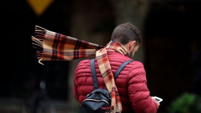 clima en la plata: domingo soleado en la ciudad y con el frio como protagonista principal