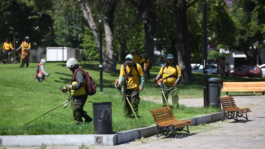 Uno por uno, los barrios y las calles de La Plata en las que sigue la fumigación