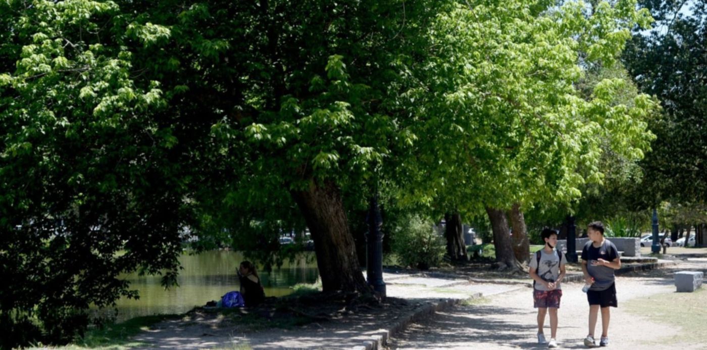 1670412513598.jpg?x=10&y=177&width=1486&height=743&rotate=0&scaleX=1&scaleY=1&ow=1500&oh=930&&cw=1920&ch=950