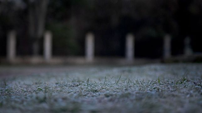 un hombre que dormia en la calle murio en medio de la ola de frio