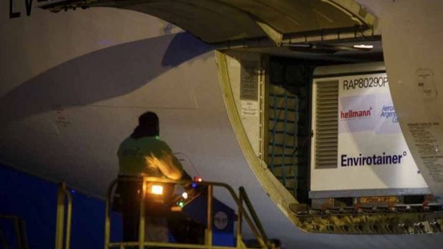 argentina ya recibio casi 62 millones de dosis de vacunas contra el covid-19