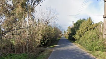 Un hombre engañó a tres adolescentes, los llevó a un descampado, les pegó y les robó