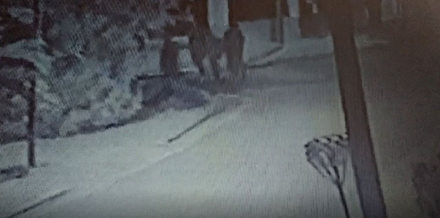 1586790445568.jpg?ow=1500&oh=683&y=6&width=1342&scaleX=1&scaleY=1&x=58&height=671&rotate=0&&cw=1920&ch=950