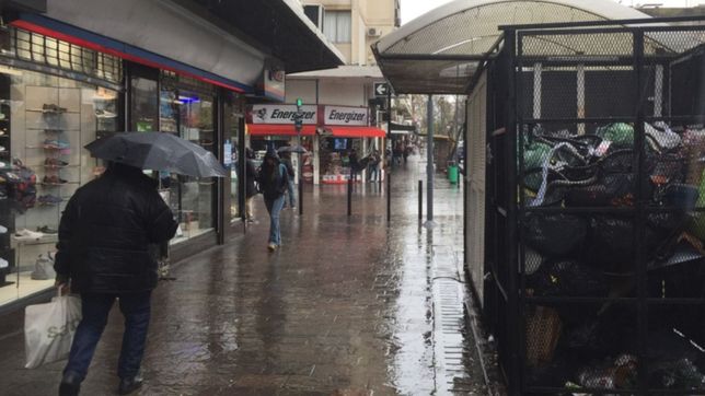 comerciantes en plena calle 8 aseguran que una floreria se convirtio en un basural