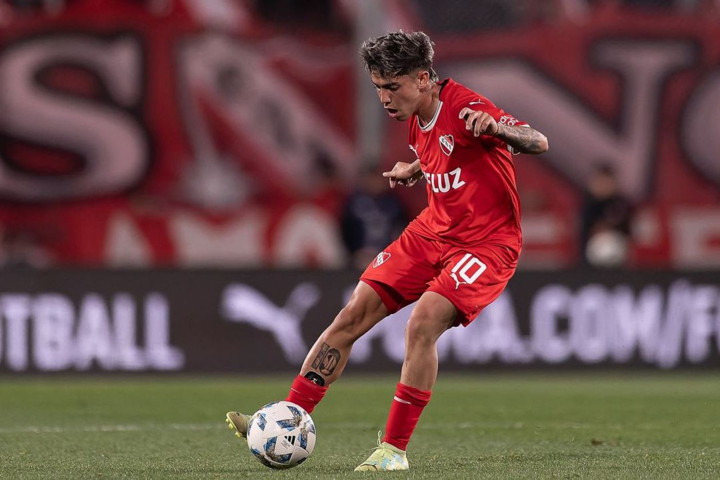 Santiago Toloza Independiente.jpg