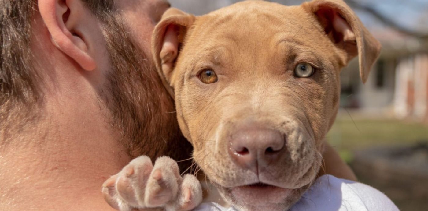 1643309992754.jpg?x=7&y=123&width=1486&height=744&rotate=0&scaleX=1&scaleY=1&ow=1500&oh=1000&&cw=1920&ch=950