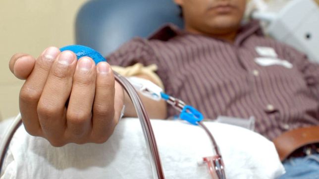 la unlp y el instituto de hemoterapia haran una colecta de sangre en el rectorado