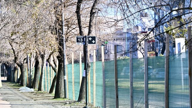 monumento, jardin botanico, veredas y mas: asi seran las obras para renovar el parque saavedra