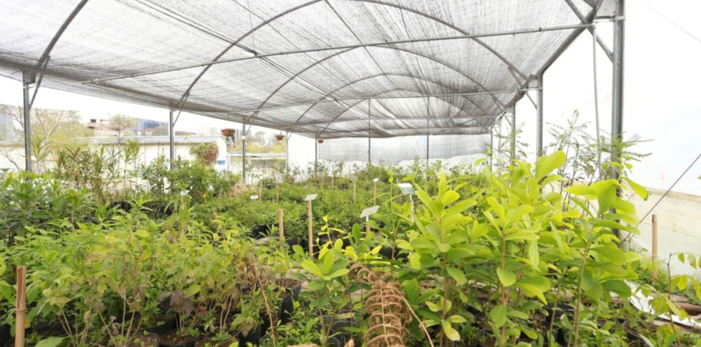 1638215871318.jpg?x=7&y=113&width=1486&height=744&rotate=0&scaleX=1&scaleY=1&ow=1500&oh=1000&&cw=1920&ch=950