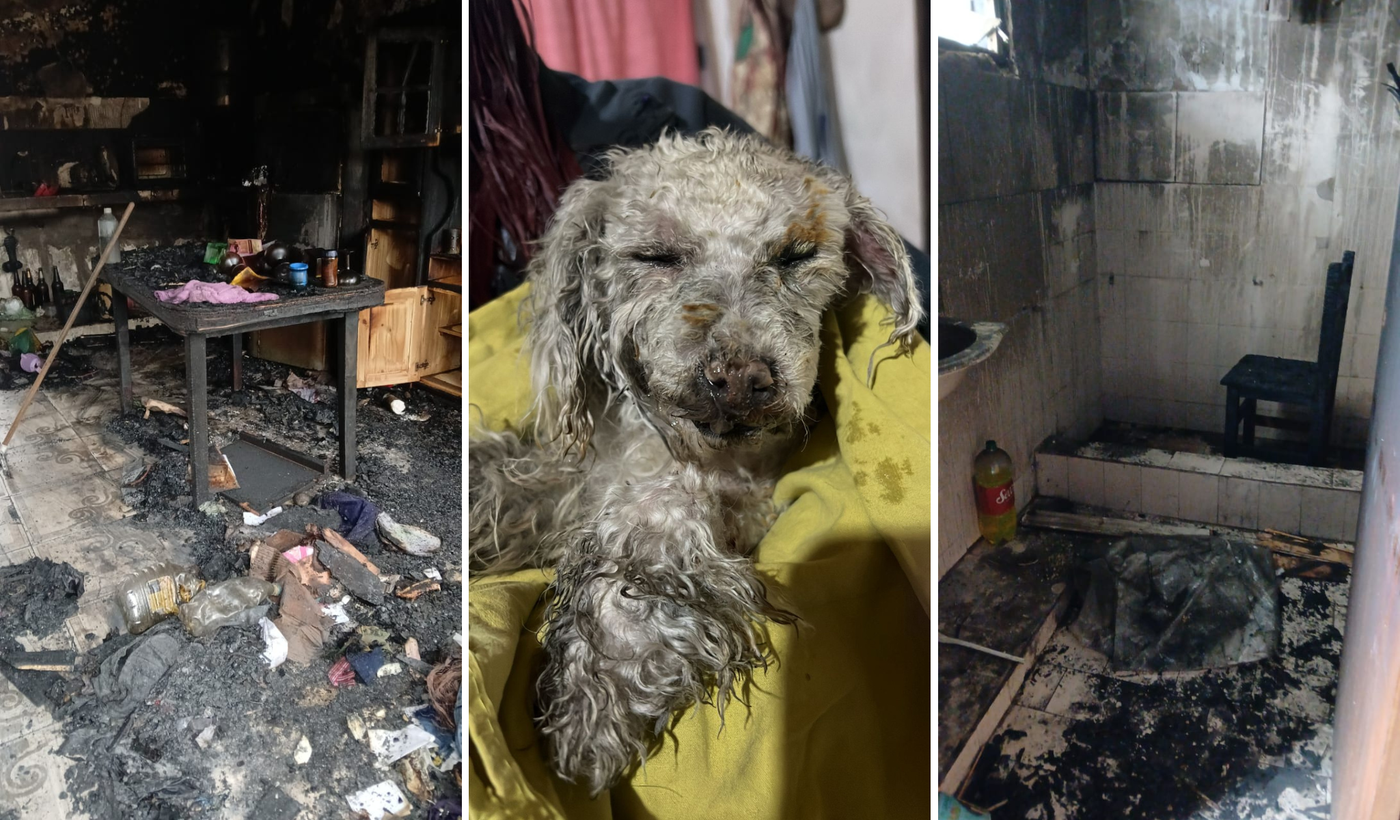 Incendio destruye casa en Altos de San Lorenzo.png