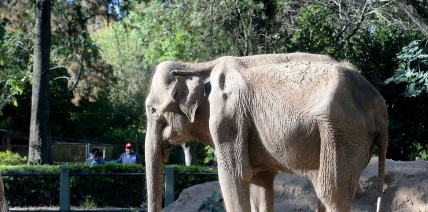 1527012523564.jpg?&cw=1920&ch=950