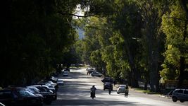 un joven fue asaltado y abusado por dos ladrones en medio de un feroz ataque en el paseo del bosque un joven fue asaltado y abusado por dos ladrones en medio de un feroz ataque en el paseo del bosque