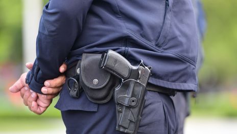 Delincuentes entraron a la casa de un policía de La Plata y se llevaron un arma y municiones Delincuentes entraron a la casa de un policía de La Plata y se llevaron un arma y municiones