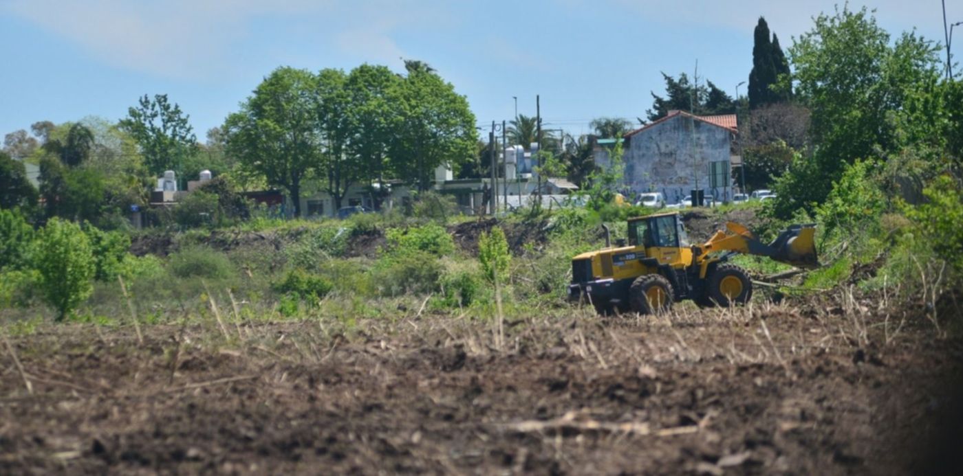 1571949567903.jpg?x=7&width=1486&rotate=0&scaleX=1&scaleY=1&ow=1500&oh=996&y=158&height=743&&cw=1920&ch=950