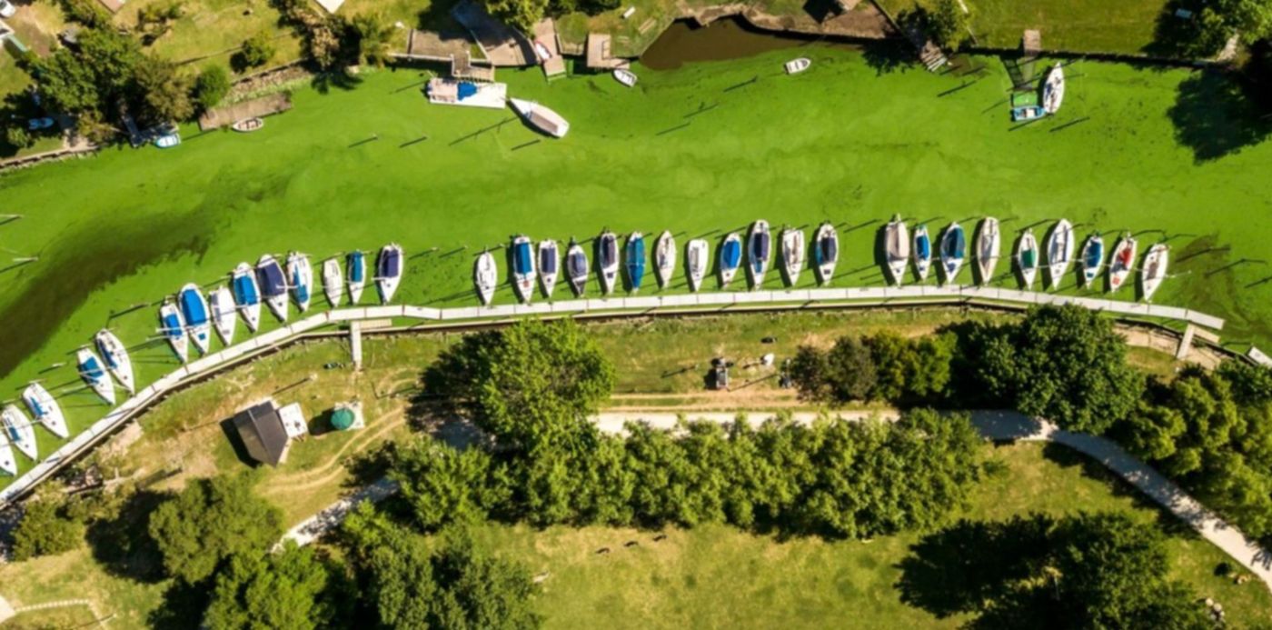 1606098602360.jpg?x=141&y=7&width=1267&height=633&rotate=0&scaleX=1&scaleY=1&ow=1500&oh=657&&cw=1920&ch=950