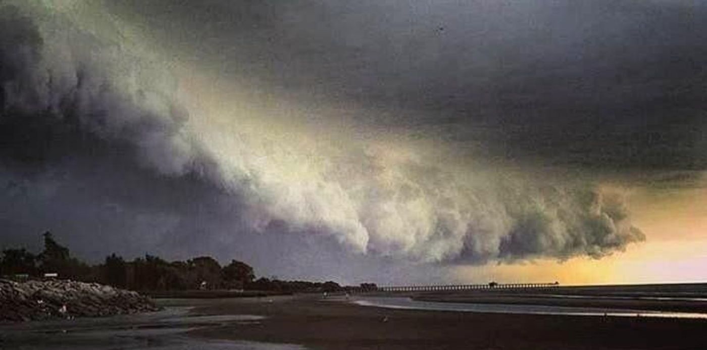 1575070197249.jpeg?y=34&rotate=0&scaleX=1&oh=535&x=2&width=715&height=358&scaleY=1&ow=720&&cw=1920&ch=950