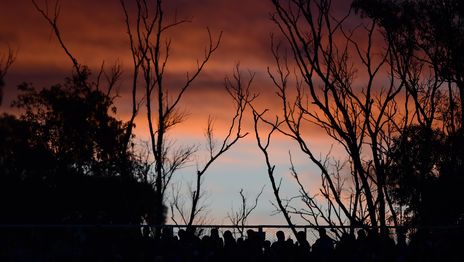 El Cine del Bosque cierra su edición 2026 con la proyección de El atardecer de los grillos El Cine del Bosque cierra su edición 2026 con la proyección de El atardecer de los grillos