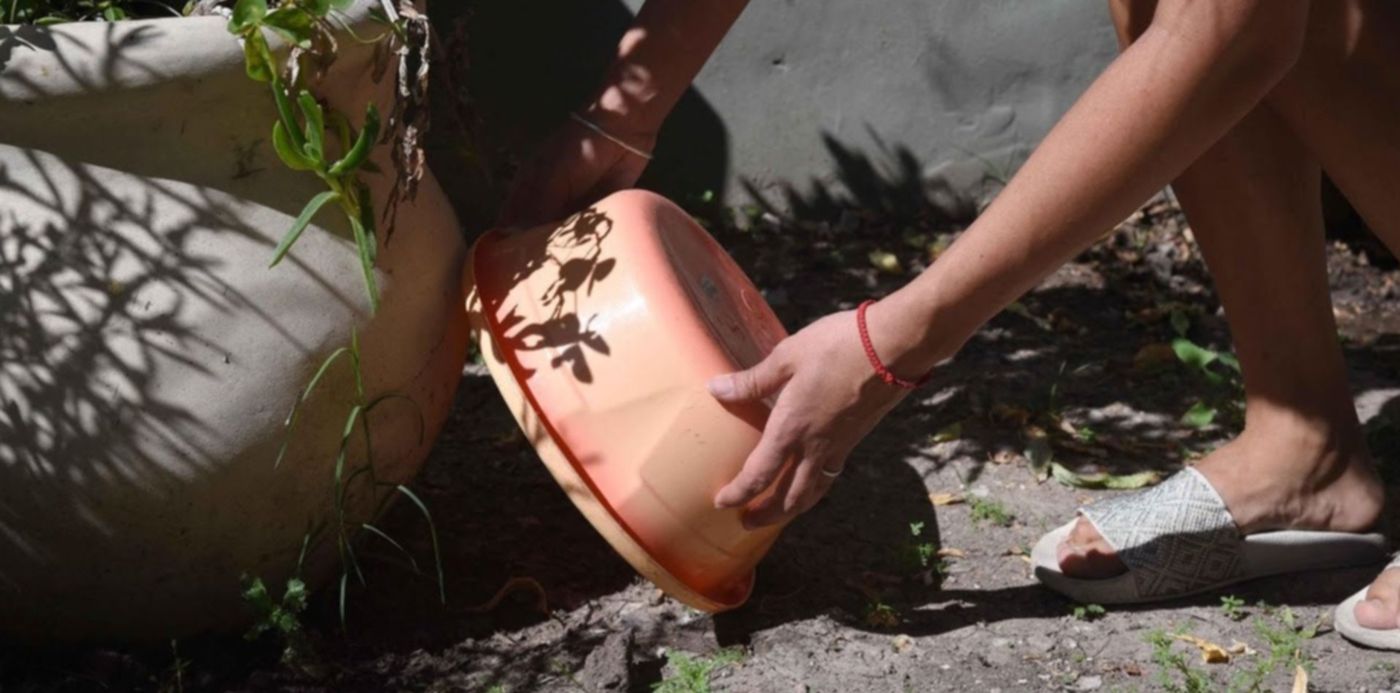 1680189726375.jpg?x=11&y=213&width=1255&height=627&rotate=0&scaleX=1&scaleY=1&ow=1280&oh=853&&cw=1920&ch=950