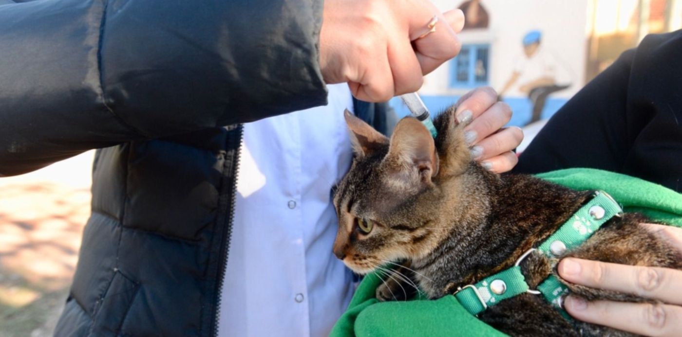 1560818210415.jpeg?x=21&y=134&width=1468&height=735&rotate=0&scaleX=1&scaleY=1&ow=1500&oh=996&&cw=1920&ch=950